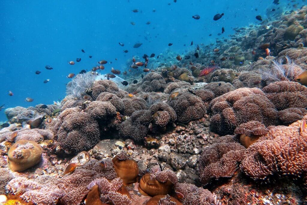 Scuba Diving Package Bali Discovery Tulamben