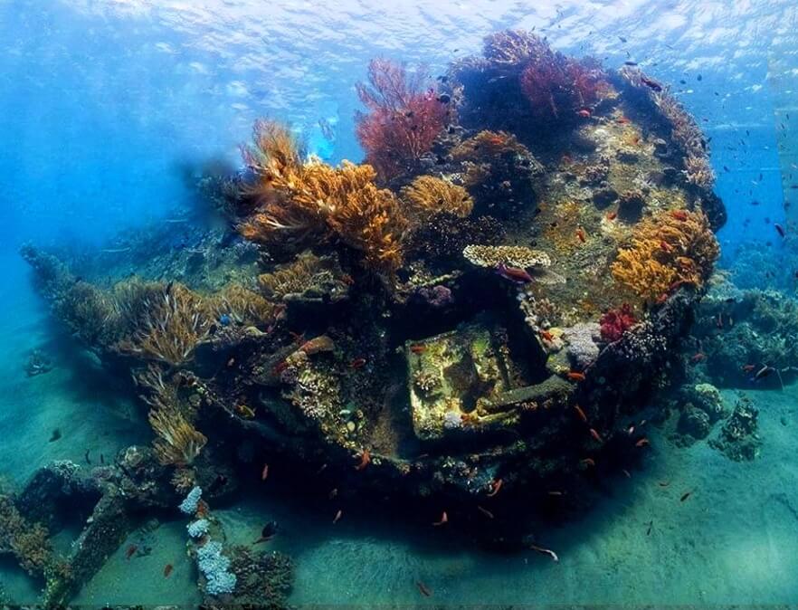 Japanese Wreck Amed Bali