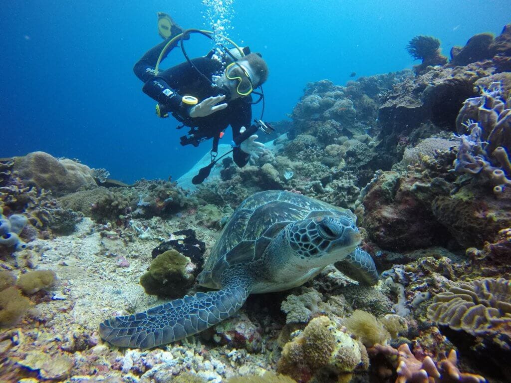 Diver with turtle and perfect Buoyancy