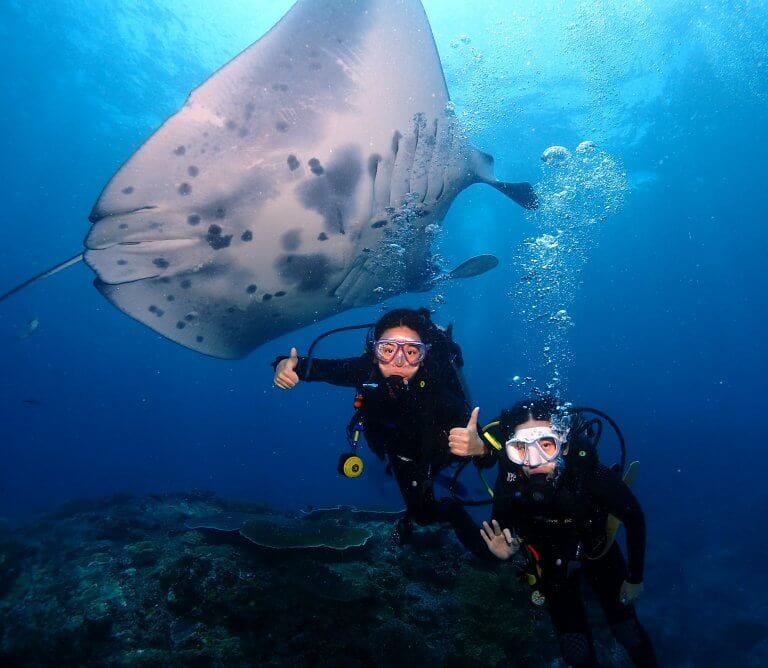 Divers with manta
