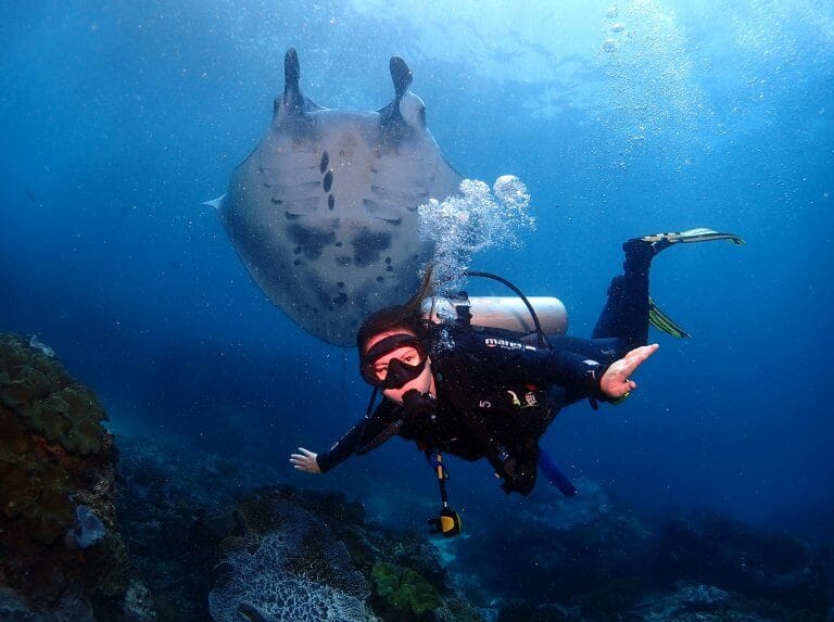 Scuba with manta