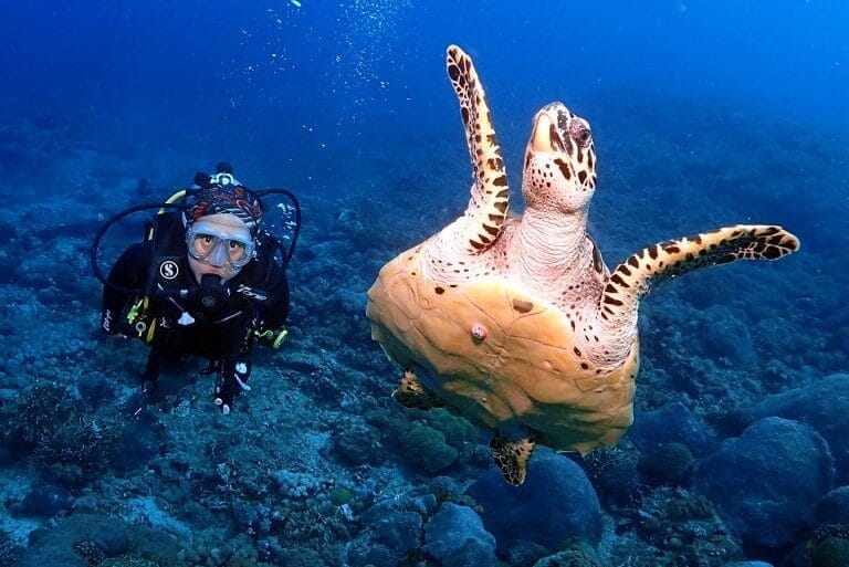 Diving with turtle