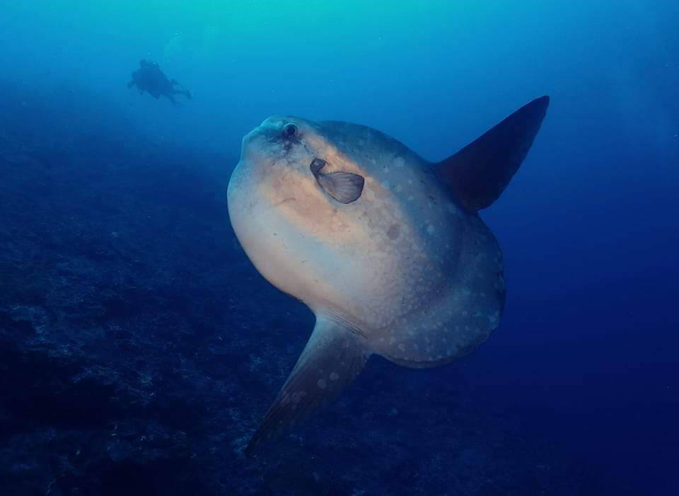 Nusa-Penida-Crystal-Bay