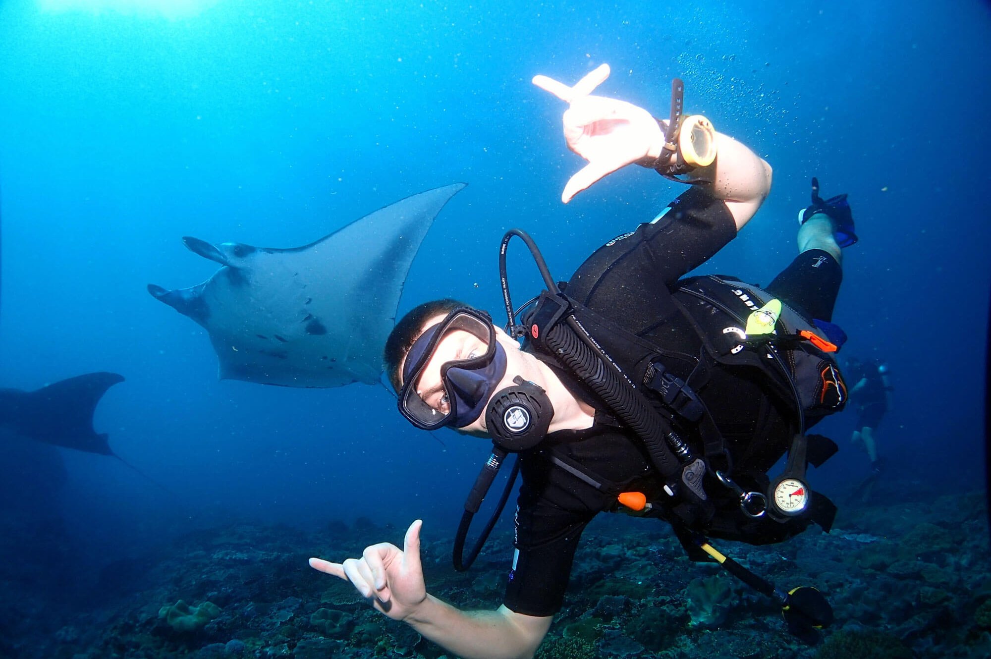 Diving Gili Biaha Shark Cave