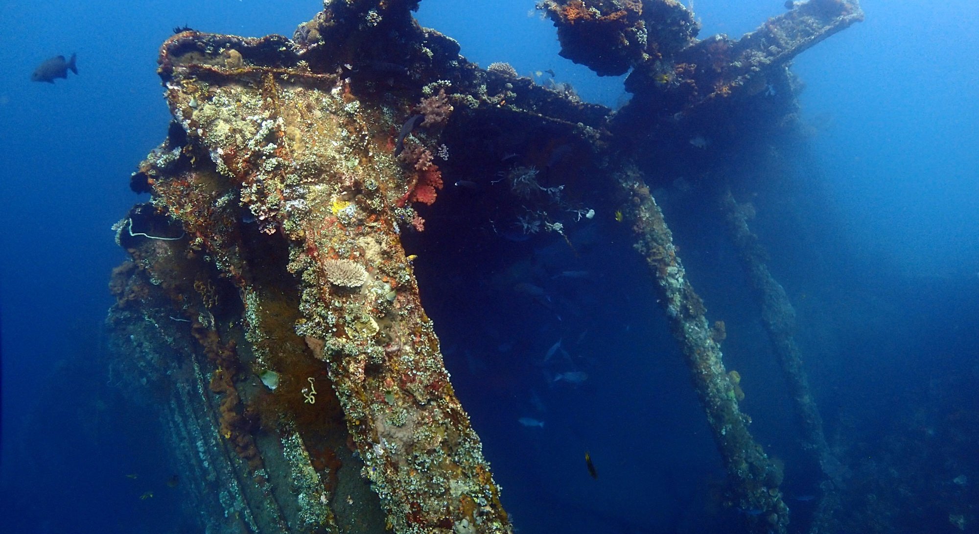 Snorkeling-Tulamben-Cover