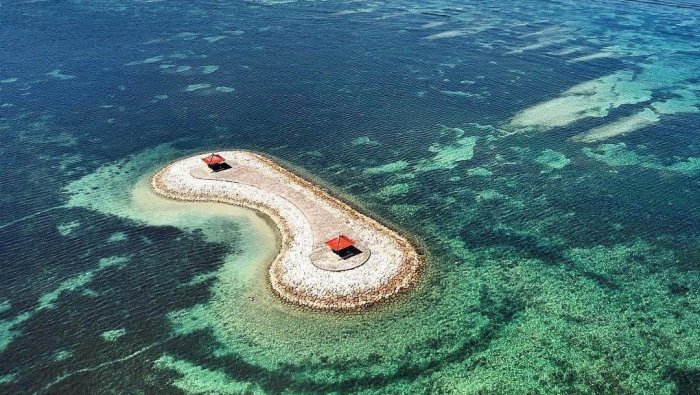 WhatsApp Image 2024-10-14 at 2.47.35 PM